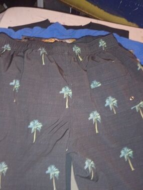Men's Black Palm-Print Swim Trunks